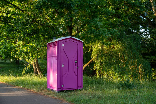 Types of Portable Toilets We Offer in Mount Oliver, PA